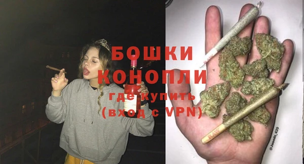 прущие грибы Навашино