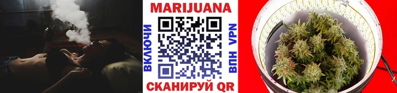 Бошки Шишки планчик  мега сайт  Анива 
